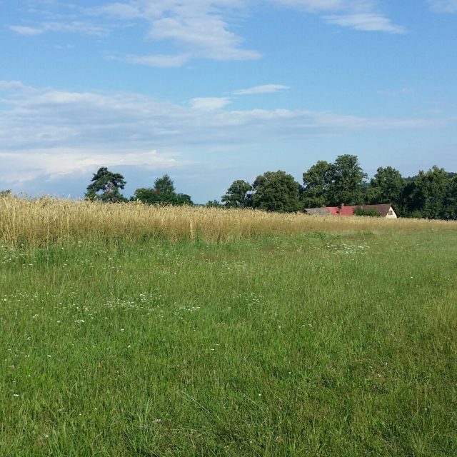 Kostelík v Letařovicích na Českodubsku | foto: Šárka Škapiková,  Český rozhlas