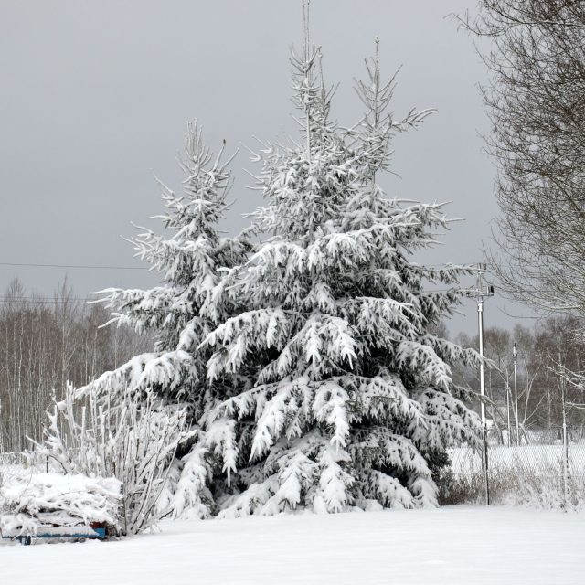 Ilustrační snímek | foto: Jolana Nováková,  Český rozhlas