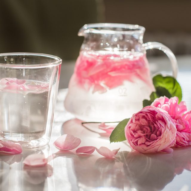 Nápoj z růže stolisté | foto: Jan Ptáček,  Český rozhlas