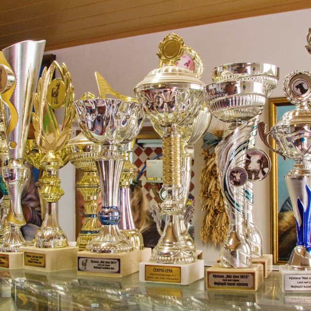 Ilustrační snímek  (ocenění z farmy Nový Dvůr) | foto: Jaroslav Hoření,  Český rozhlas