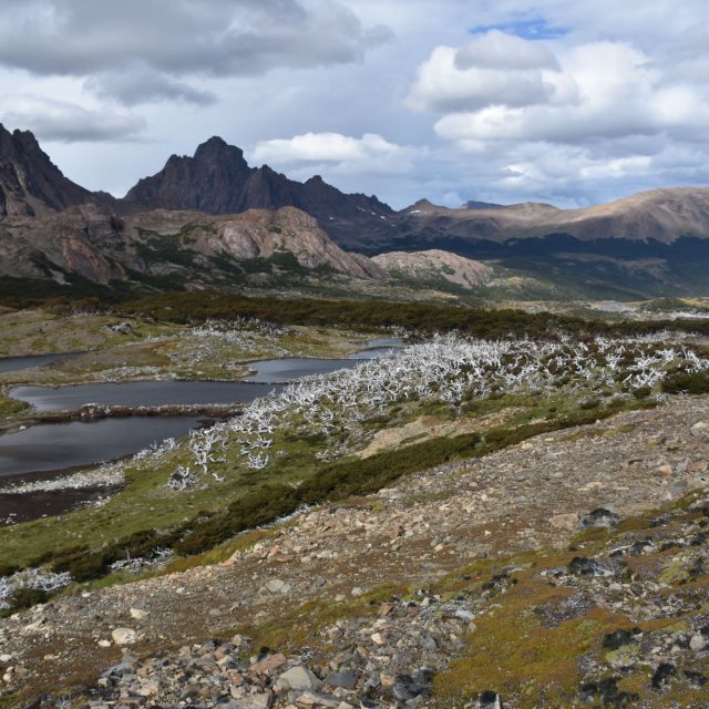 Navarino - kaskáda jezírek | foto: Petr Štych