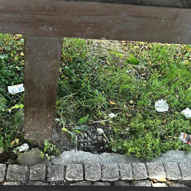 Dobrovolnická akce Ukliďme Jizerky se koná dvakrát do roka | foto: Johana Tománková,  Český rozhlas