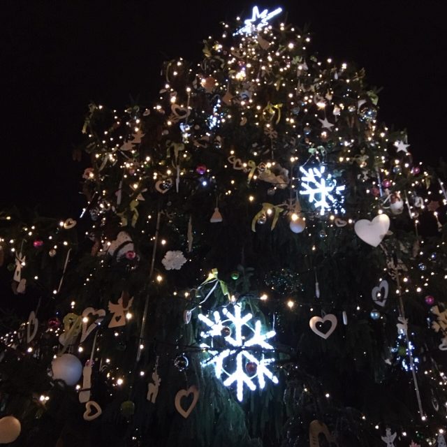 Rozsvěcení vánočního stromu v Děčíně | foto: Daniela Pilařová,  Český rozhlas