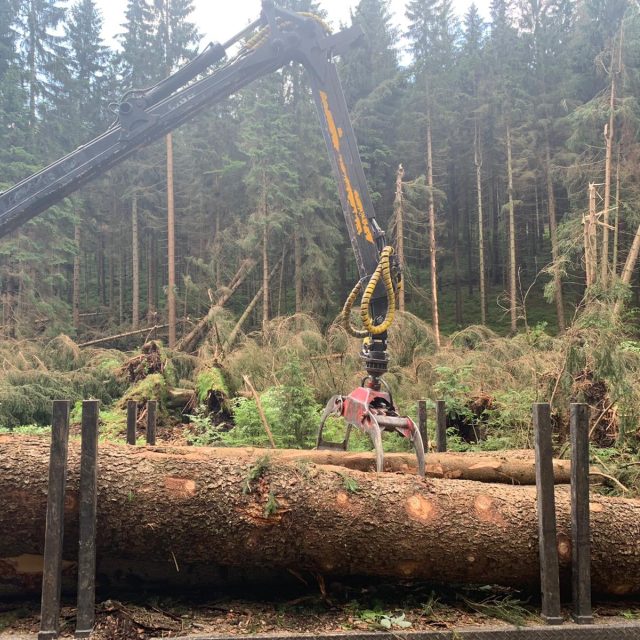 Po středeční noční bouři je zejména v západních Krkonoších vážně poškozena řada lesních porostů | foto: Správa Krkonošského národního parku