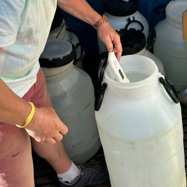 Hygienici na dětských táborech kontrolují mimo jiné kvalitu vody | foto: Kateřina Kubíčková,  Český rozhlas