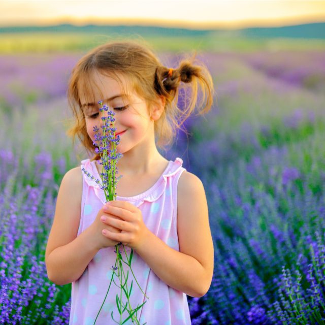 Vůně nás ovlivňují víc,  než si možná myslíte | foto: Shutterstock