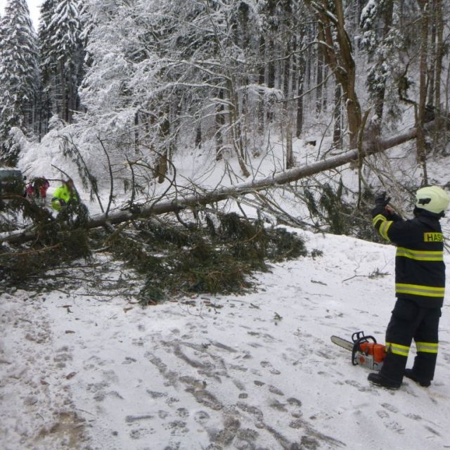Těžký a mokrý sníh spolu s větrem na východě Čech láme stromy a větve | foto: HZS Královéhradeckého kraje