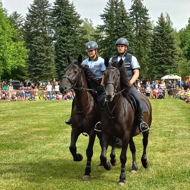 Den IZS v Semilech | foto: Jaroslav Hoření,  Český rozhlas