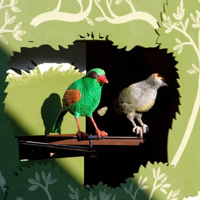 Kráska krátkoocasá  | foto: Jaroslav Hoření,  Český rozhlas