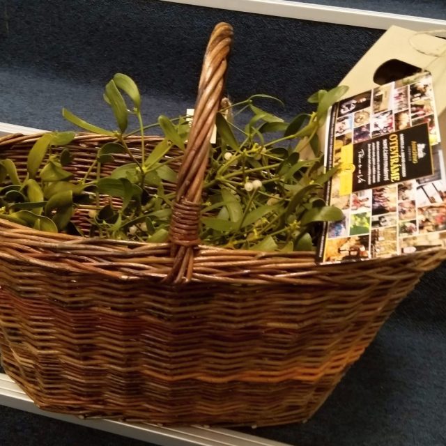 Petr Krejčík přišel vyprávět o víně a Vánocích a přinesl dárek | foto: Hana Hauptvogelová,  Český rozhlas