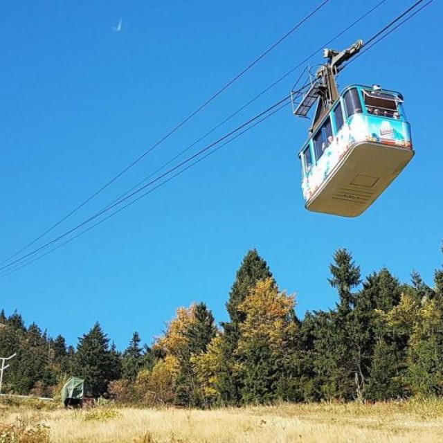 Ilustrační foto | foto: Jaroslava Mannová