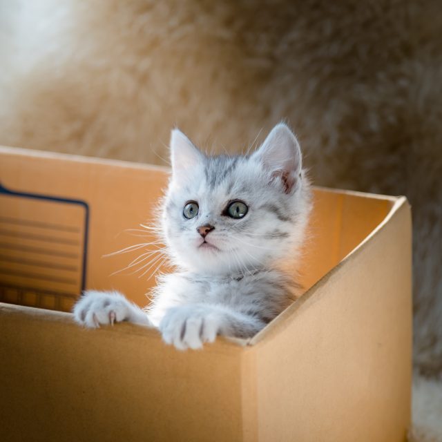 Ilustrační snímek | foto: Profimedia