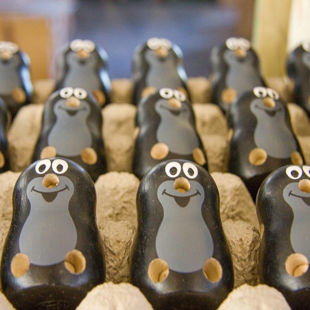 Rozpracovaný Krteček | foto: Jaroslav Hoření,  Český rozhlas