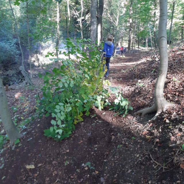 Skauti z Liberce uklidili zanedbaný lesopark v Lidových sadech | foto: Šárka Škapiková,  Český rozhlas