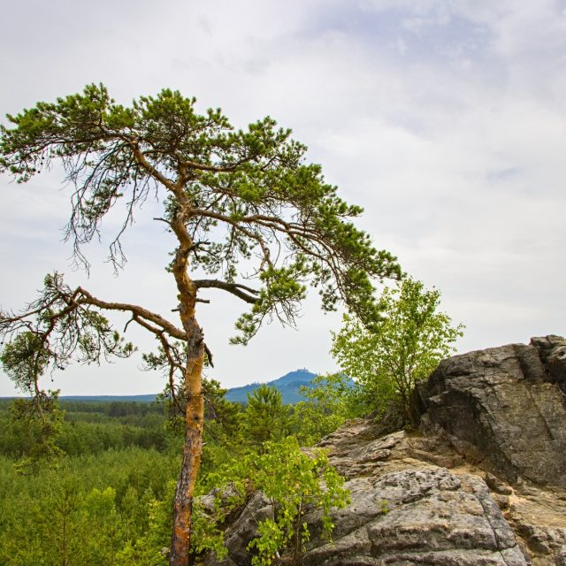 Hrad Bezděz ze skalní vyhlídky Pinka u Máchova jezera | foto: Jaroslav Hoření,  Český rozhlas