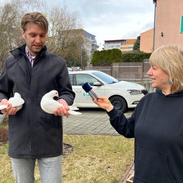 Chovatel Jakub Hušek se svými holuby při rozhovoru s moderátorkou Ivetou Kalátovou | foto: Petra Heiplíková,  Český rozhlas