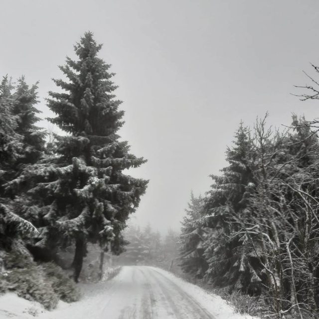 Silnice kolem přehrady Souš v zimě | foto: Šárka Škapiková,  Český rozhlas