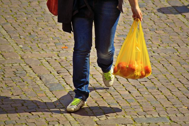 Polyesterové tašky se teď zřejmě budou snažit zavést i některé řetězce | foto: Fotobanka Pixabay,  CC0 1.0