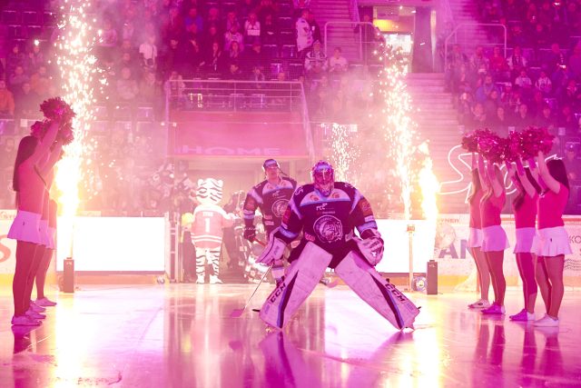 Nástup Bílých Tygrů na led v utkání proti Hradci 20. března doprovázela růžová světla,  hokejisté to stále vidí růžově | foto: Jiří Princ,  Bílí Tygři Liberec
