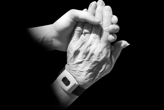 mladá ruka,  stará ruka | foto: Irene Marie Dorey,  Public Domain Pictures,  CC0 1.0