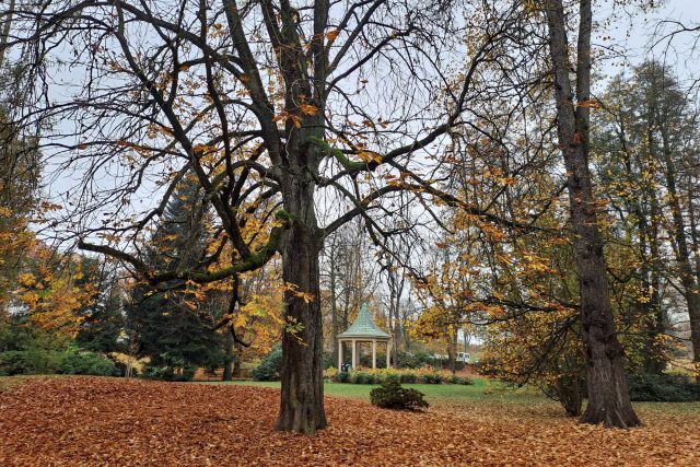 Tyršův park v Jablonci nad Nisou | foto: Jana Švecová,  Český rozhlas