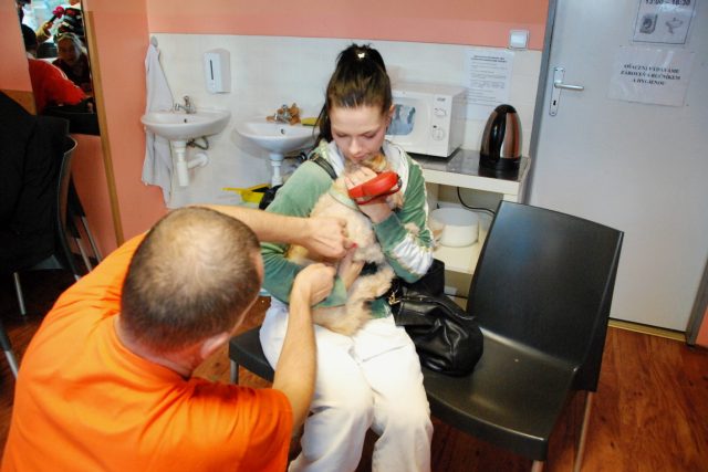 Očkování zvířat v libereckém centru Naděje | foto: Lucie Fürstová,  Český rozhlas