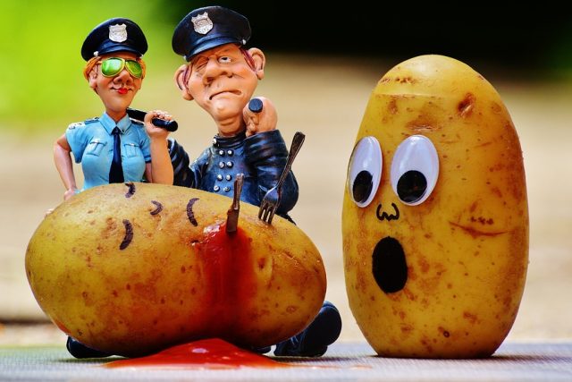 Policisté jsou podle Petra Urbana nejvděčnějším tématem pro vtipy | foto:  pixabay.com