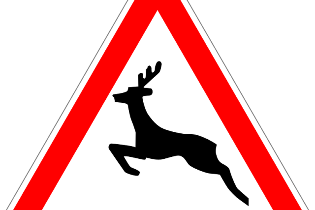 Dopravní značka upozorňující na výskyt zvěře u silnice  (ilustrační foto) | foto: Creative Commons CC0 1.0 Universal,   pixabay.com