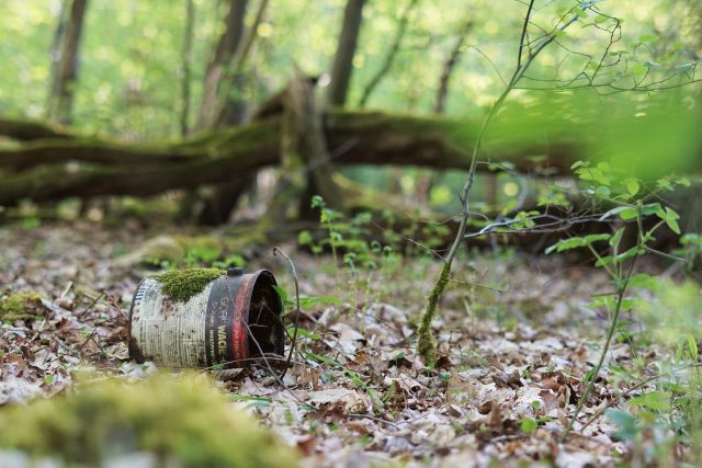 Odpadky do lesa nepatří. | foto: Licence Public domain CC0,  Fotobanka Pixabay