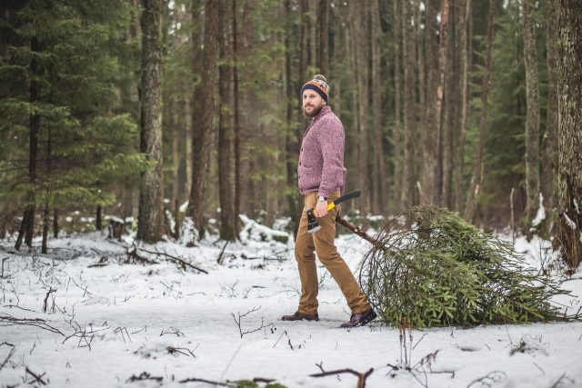 Muž krade v lese vánoční stromek  (ilustrační snímek) | foto: Profimedia