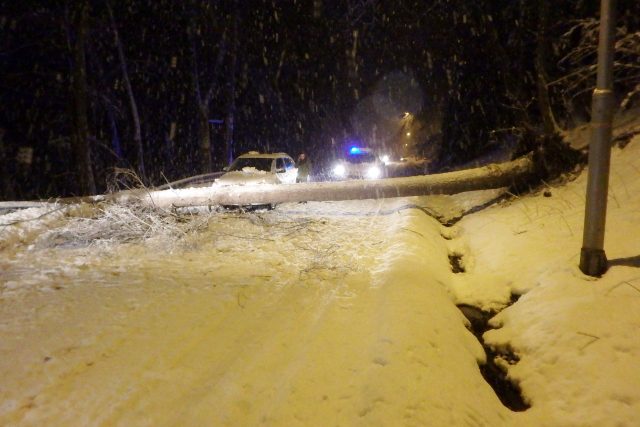Těžký sníh v Krkonoších láme stromy - Janské Lázně | foto: HZS Královéhradeckého kraje