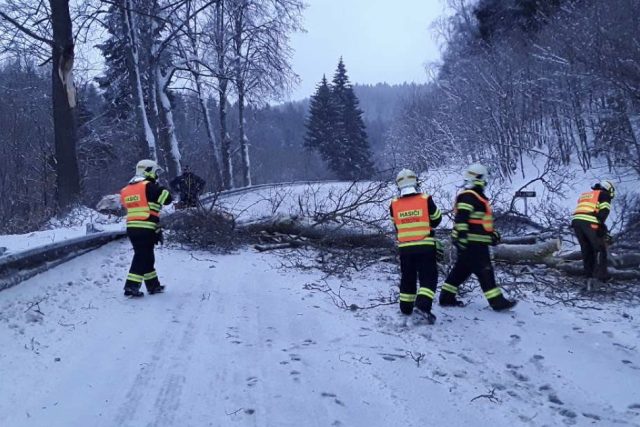 Hasiči odklízí spadený strom na silnici | foto: HZS Olomouckého kraje