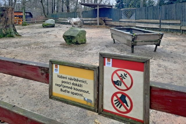Návštěvníci liberecké zoo nerespektují zákaz krmení zvířat | foto: Tomáš Mařas,  Český rozhlas