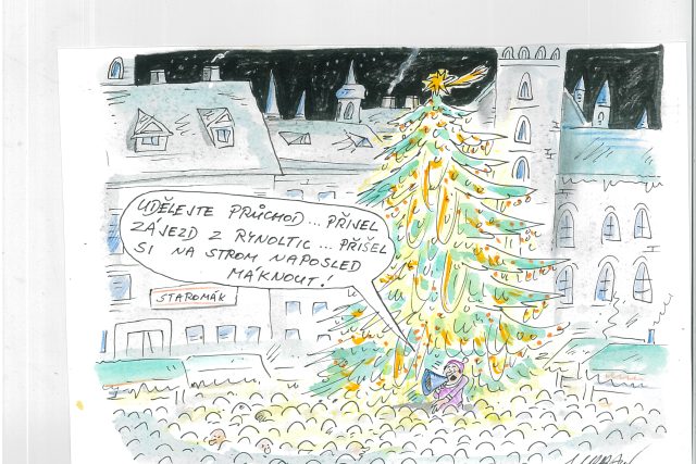 Vánoční strom 2018 v Praze na Staroměstském náměstí je z Libereckého kraje, z Rynoltic