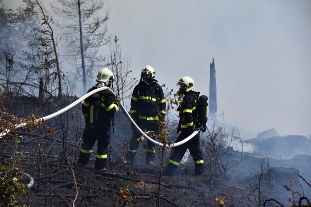 V lese u Malé Skály zasahovalo 16 jednotek hasičů | foto: Hasičský záchranný sbor Libereckého kraje