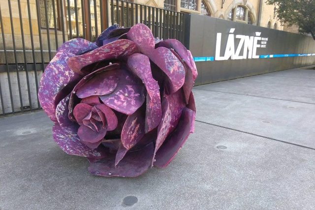 Růže umělkyně Magdalény Roztočilové před libereckou galerií upozorňuje na novou výstavu | foto: Lucie Fürstová