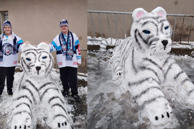 Rodina z obce Černý Vůl  (Praha - západ) postavila o víkendu nevšední sněhovou sochu. Bílého tygra,  který má být vyjádřením přízně libereckým hokejistům | foto: Ondřej Chuchut