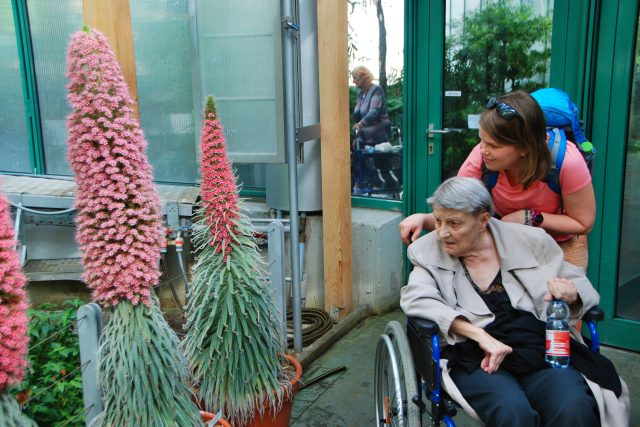 Hadince teidské uvidí návštěvníci v pavilonu Květnice | foto: Lucie Fürstová