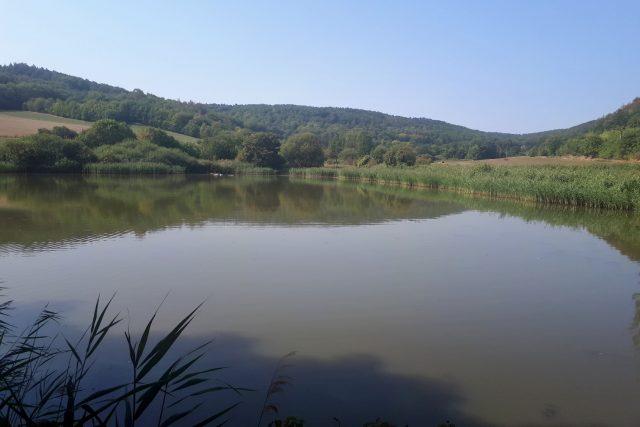 Pohledy na Kalivodské bučiny a rybníky jsou úchvatné  | foto: Markéta Vejvodová,  Český rozhlas