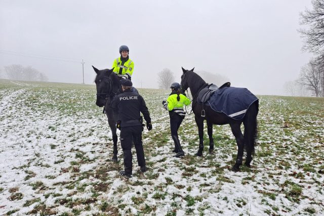 Policie v Libereckém kraji začala využívat koně | foto: Eva Malá,  Český rozhlas