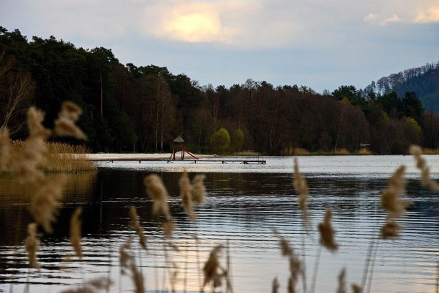 Hamerské jezero - ilustrační snímek | foto: Jaroslav Hoření,  Český rozhlas