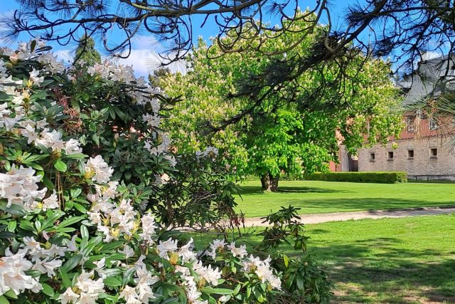 Zámecký park v Sychrově v těchto dnech kvete,  některé keře ale spálil mráz | foto: Jana Švecová,  Český rozhlas