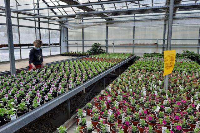Na zahradnické škole v Liberci chybí žáci,  o rostliny tak pečují hlavně učitelky | foto: Šárka Škapiková,  Český rozhlas