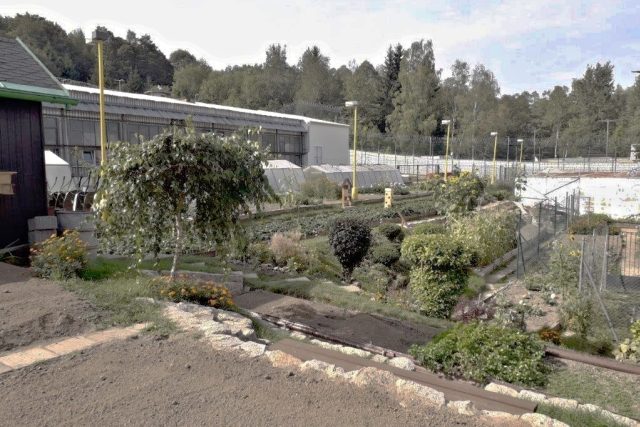 Terapeutická zahrada ve věznici v Rýnovicích | foto: Věznice Rýnovice