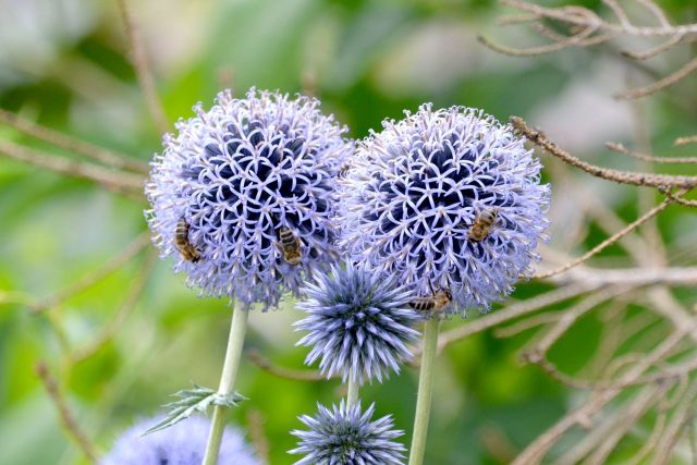 Ilustrační snímek | foto: Jolana Nováková,  Český rozhlas