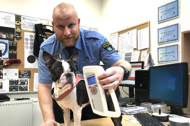 pes s čipem městská policie | foto: Lucie Fürstová,  Český rozhlas