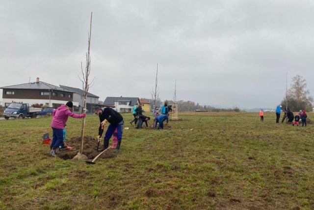 V turnovské části Hruštice sázeli dobrovolníci ovocné stromy. Stanou se základem budoucího městského sadu