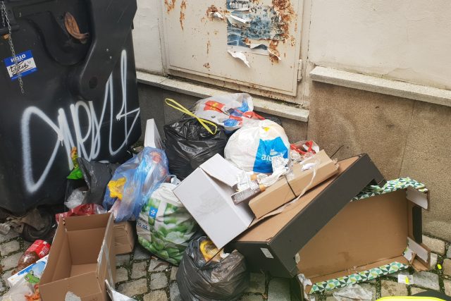Úředníci jihlavského magistrátu likvidují černé skládky odpadu | foto: Dušan Vrbecký,  Český rozhlas