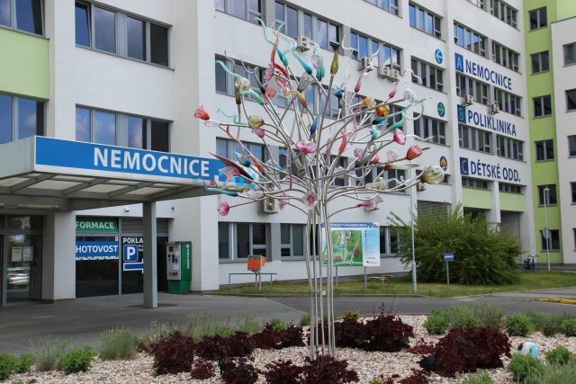 Českolipská nemocnice patří k páteřní síti nemocnic Libereckého kraje  (ilustrační snímek) | foto: Nemocnice s poliklinikou Česká Lípa
