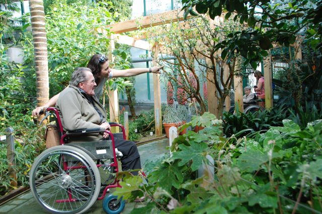 Dědečkům a babičkám z Domova seniorů z libereckého Františkova se v botanické zahradě moc líbilo | foto: Lucie Fürstová